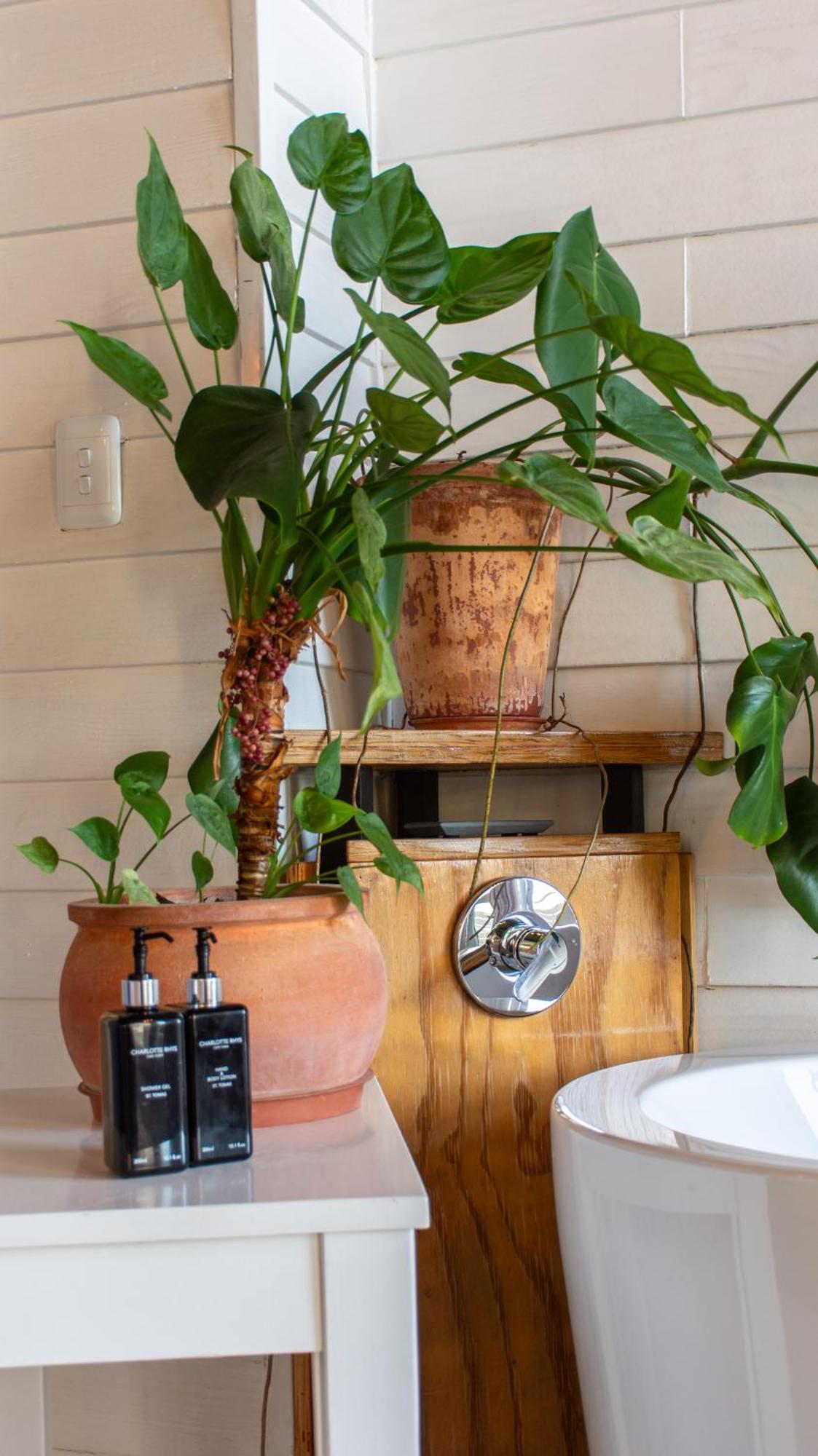 The Lofts Boutique Hotel Knysna Eksteriør billede